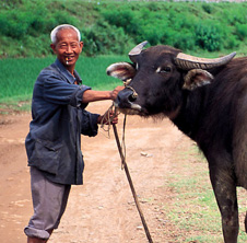 小型飼料顆粒機,農(nóng)民圓夢！